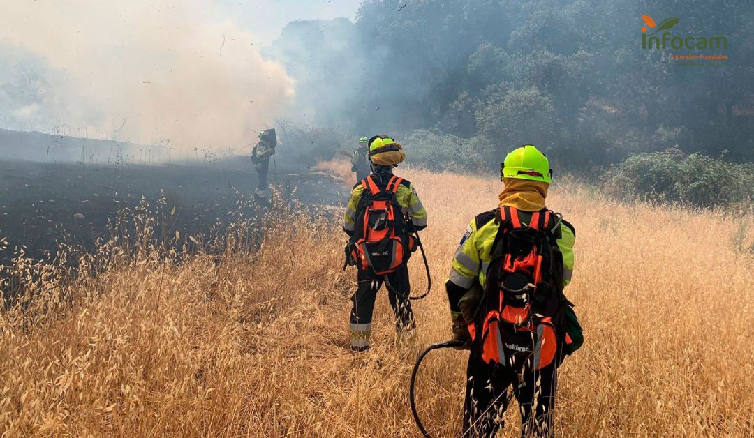 Controlado el incendio declarado en El Casar de Escalona. Controlado el incendio declarado en El Casar de Escalona.