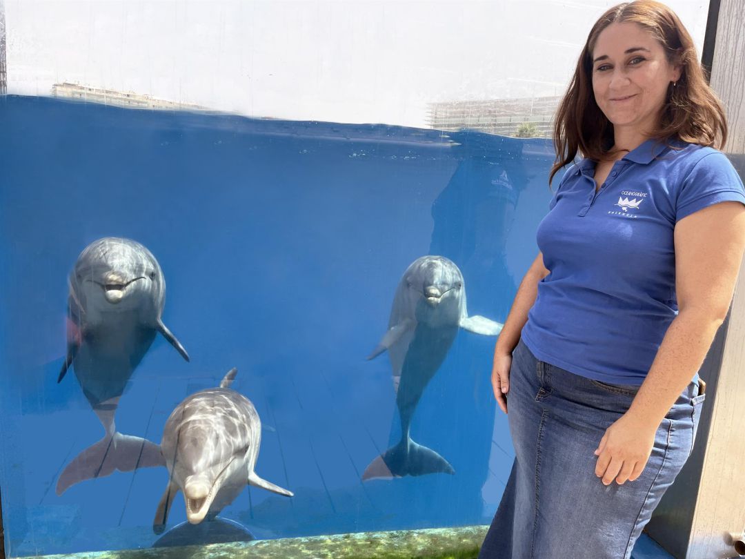 Delfines del Oceanogràfic de València Delfines del Oceanogràfic de València
