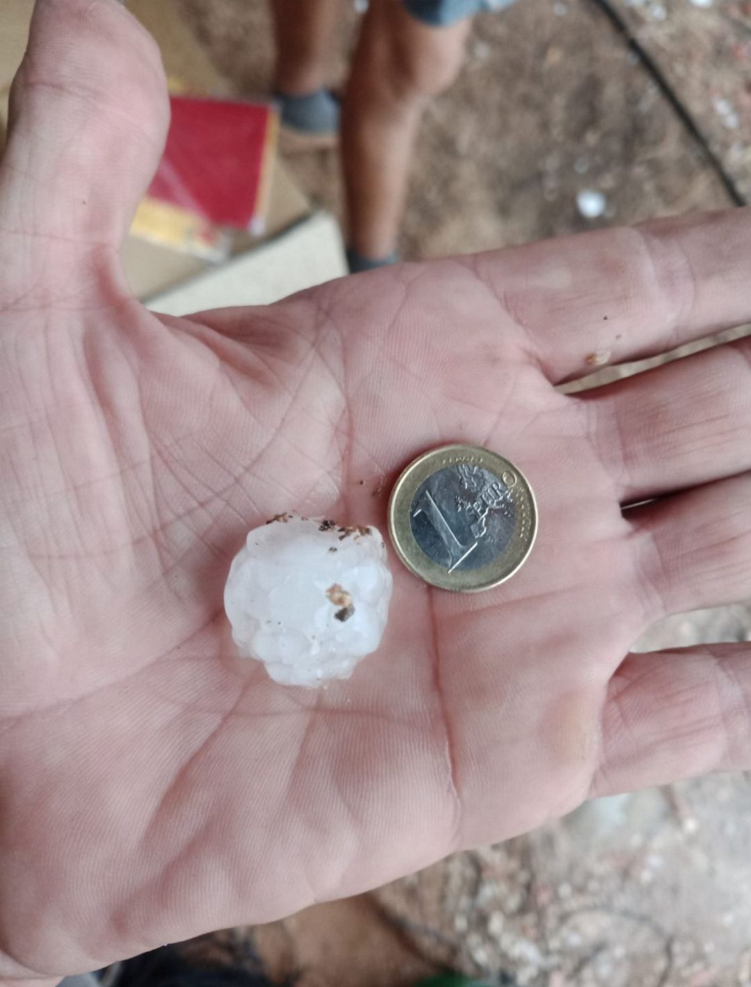 Muestra del granizo que cayó en Aspe y La Romana Muestra del granizo que cayó en Aspe y La Romana