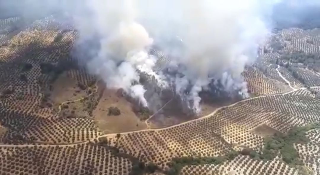 Vista aérea del incendio. Vista aérea del incendio.