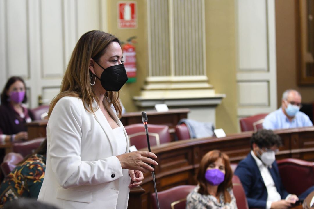 María Dolores Corujo, parlamentaria lanzaroteña por el PSOE. María Dolores Corujo, parlamentaria lanzaroteña por el PSOE.