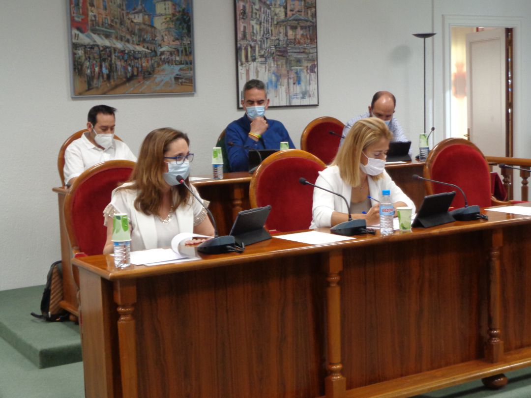 Elia Salinero en el último pleno Elia Salinero en el último pleno