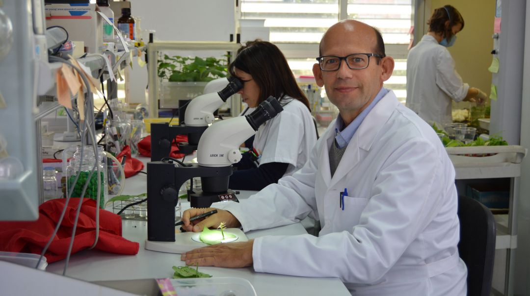 Investigadores de la Universidad Politécnica de Cartagena Investigadores de la Universidad Politécnica de Cartagena