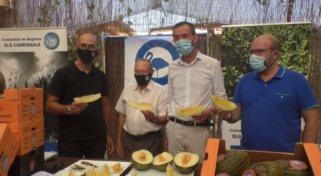 Presentación melón de Los Carrizales Presentación melón de Los Carrizales