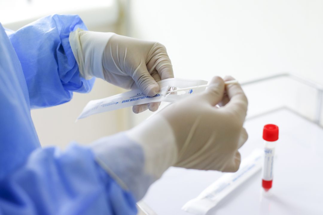 Pruebas PCR Pruebas PCR