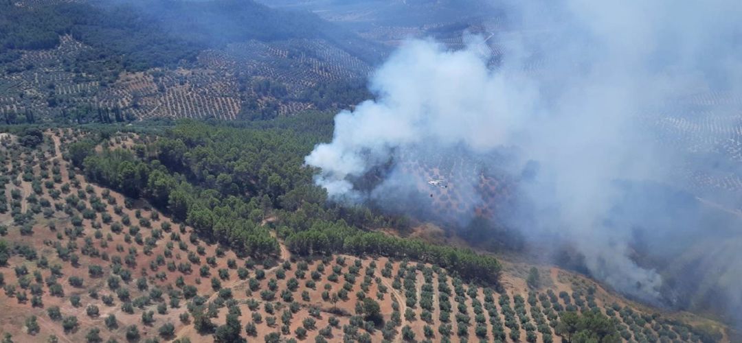 Incendio en Torres de Albanchez. Incendio en Torres de Albanchez.