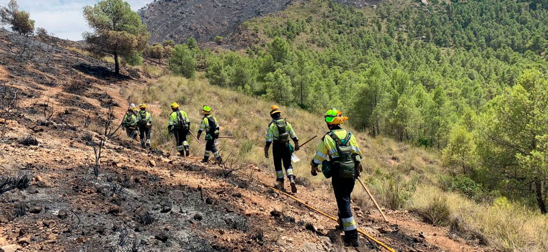 Los bomberos forestales abandonan la zona quemada en Liétor Los bomberos forestales abandonan la zona quemada en Liétor