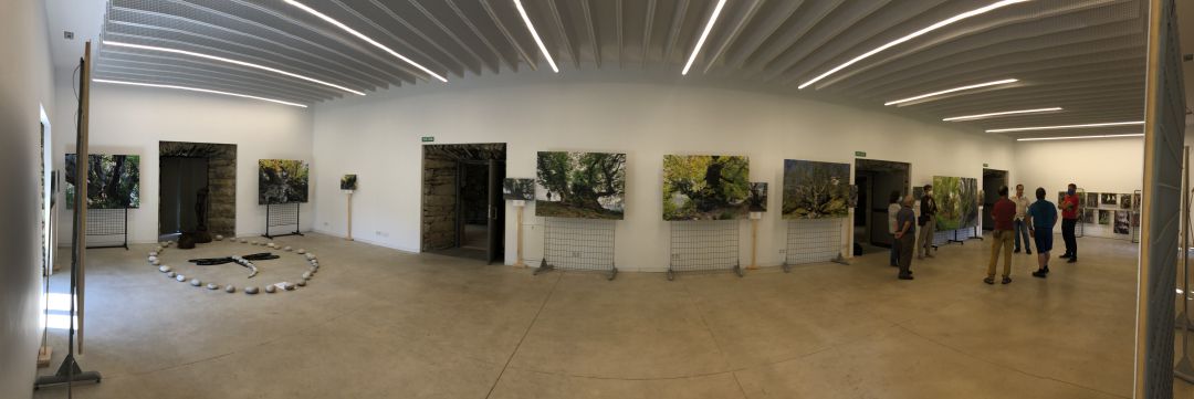 Panorámica de exposición Panorámica de exposición