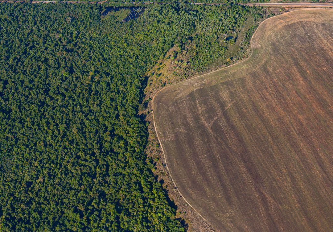 Area afectada por la deforestación del Amazonas. Area afectada por la deforestación del Amazonas.