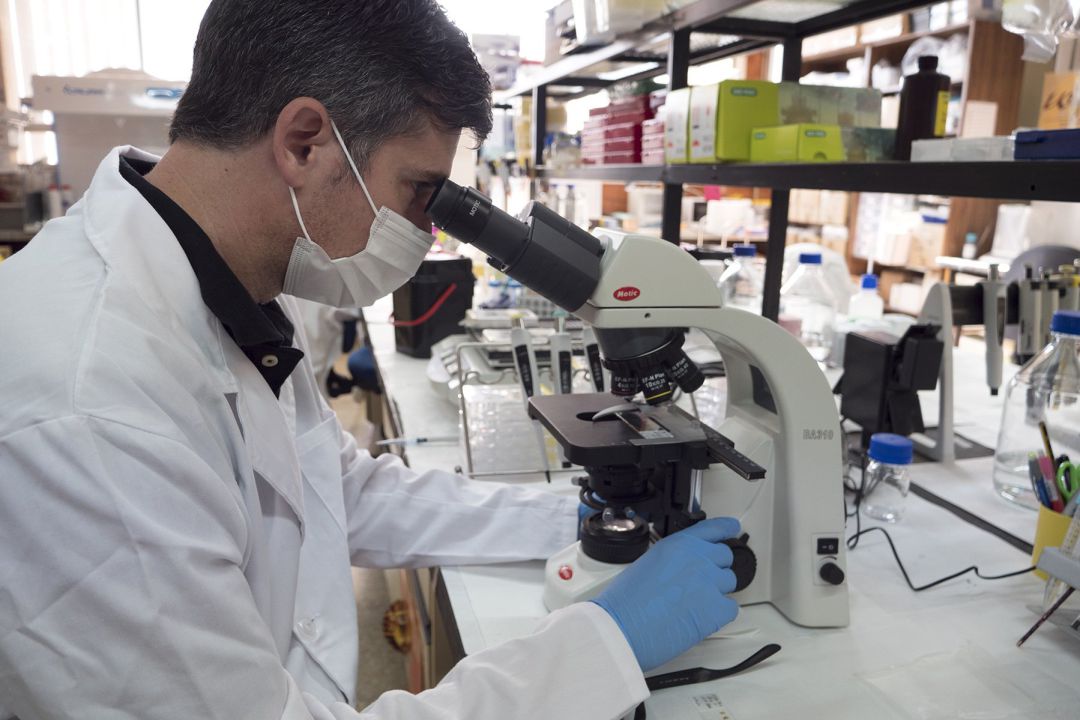 David Baglietto Vargas, investigador del Departamento de Biología Celular, Genética y Fisiología de la Universidad de Málaga. David Baglietto Vargas, investigador del Departamento de Biología Celular, Genética y Fisiología de la Universidad de Málaga.