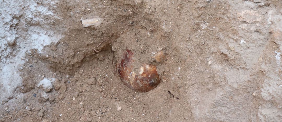 Imagen de los restos encontrados junto al Altozano Imagen de los restos encontrados junto al Altozano
