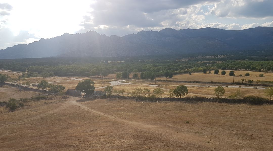 Soto del Real compra una finca para crear un corredor verde hasta la cañada segoviana
Soto del Real compra una finca para crear un corredor verde hasta la cañada segoviana