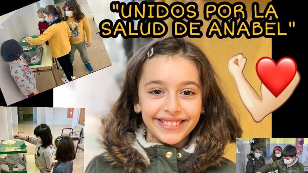 El colegio de Navaliegos había pedido fondos para su tratamiento El colegio de Navaliegos había pedido fondos para su tratamiento