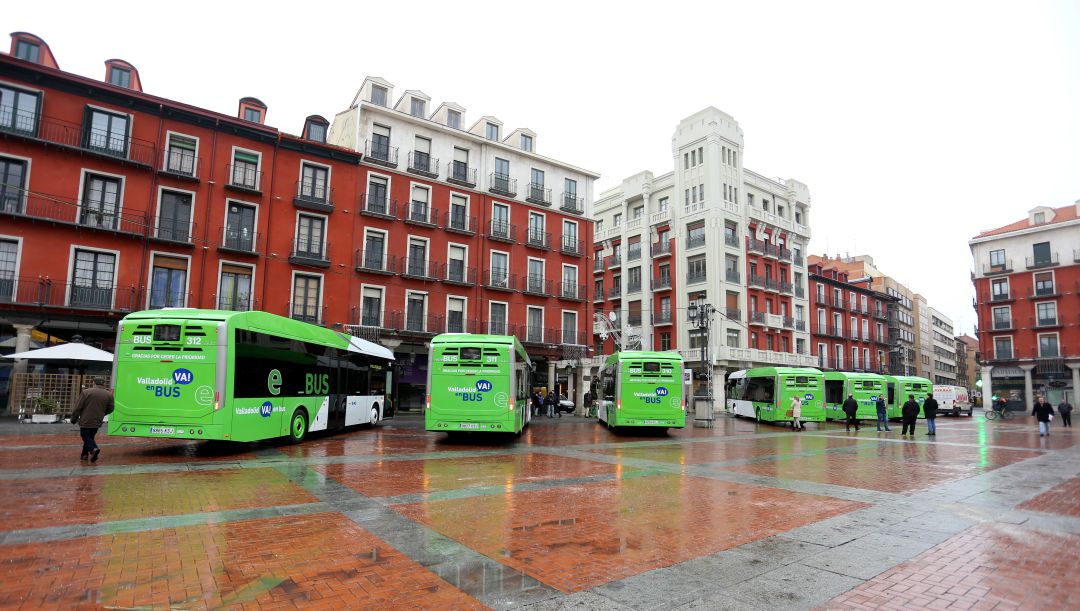 Autobuses urbanos de la flota de Auvasa Autobuses urbanos de la flota de Auvasa