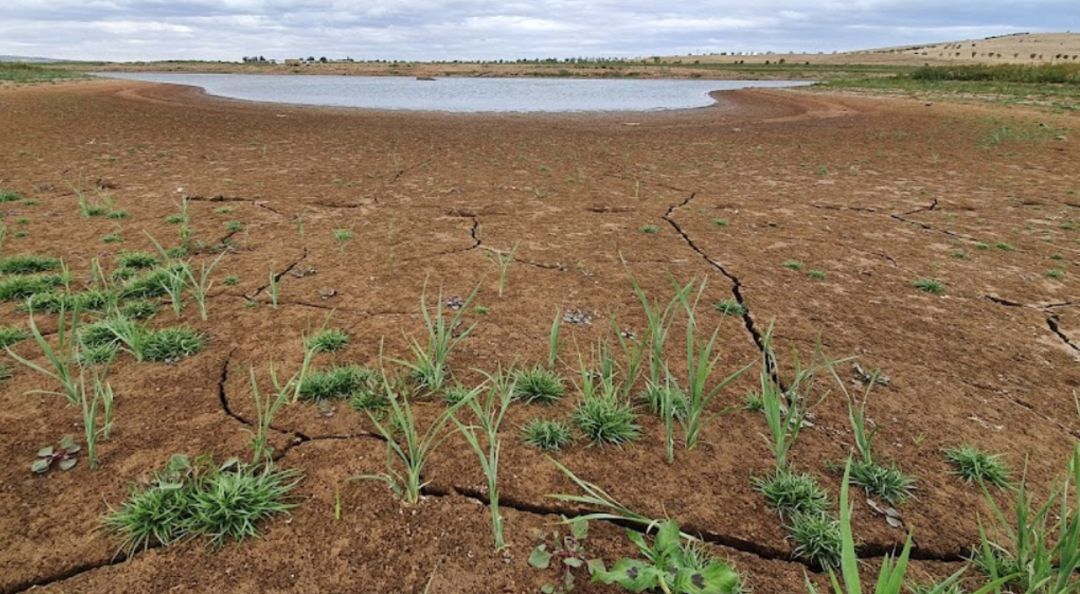 El Vega del Jabalón está a tan solo el 2% de su capacidad El Vega del Jabalón está a tan solo el 2% de su capacidad