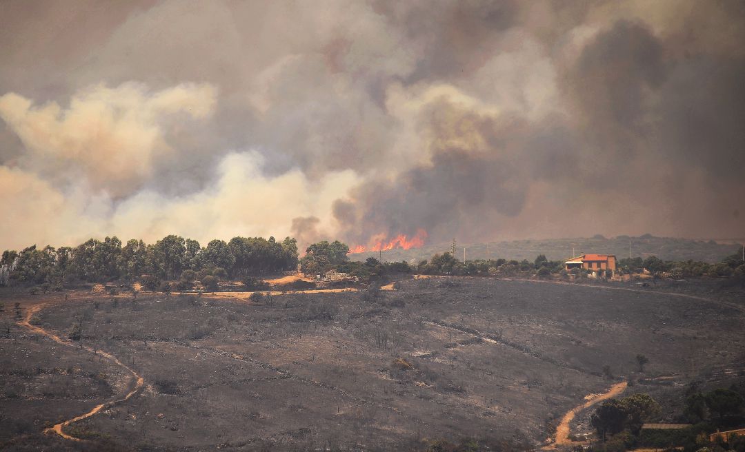 Incendios en Sicilia, Italia. Incendios en Sicilia, Italia.