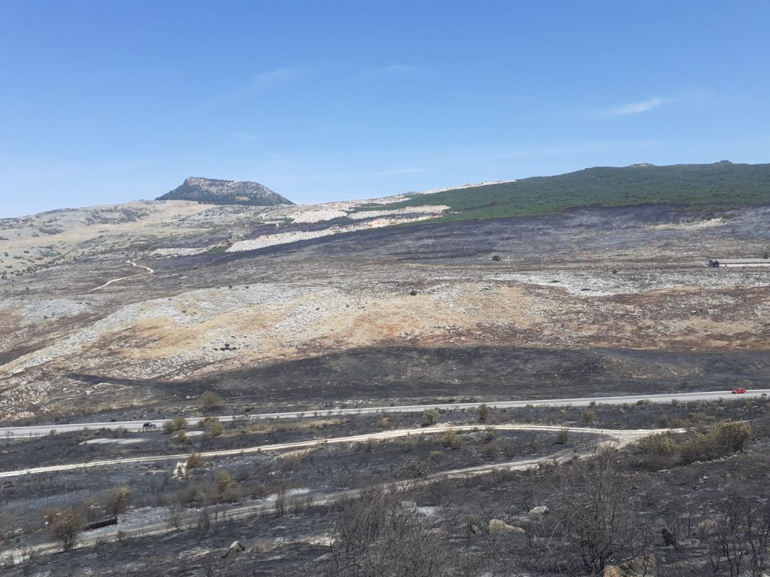 Situación en que ha quedado el paraje en la sierra de Cabra Situación en que ha quedado el paraje en la sierra de Cabra