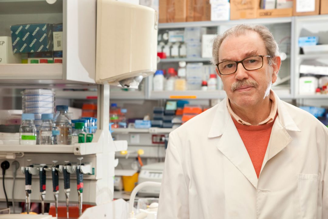 Vicente Larraga es uno de los tres investigadores del CSIC que están liderando el desarrollo de una vacuna contra la COVID en España. Vicente Larraga es uno de los tres investigadores del CSIC que están liderando el desarrollo de una vacuna contra la COVID en España.