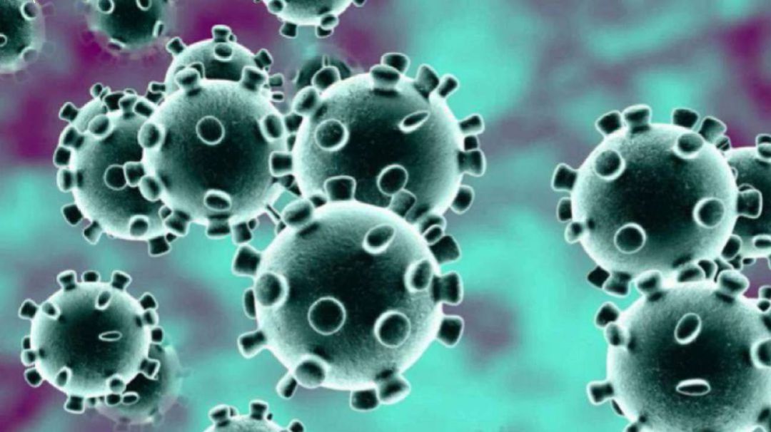 Fin de semana negro en Palencia en lo relativo a la eVolución de la pandemia de COVID-19 Fin de semana negro en Palencia en lo relativo a la eVolución de la pandemia de COVID-19