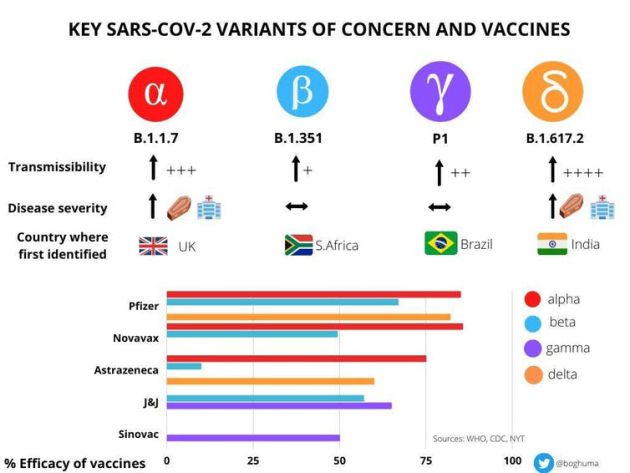 Gráfico obtenido del blog de la Dra. Boghuma Kabisen Titanji del London School of Hygiene and Tropical Medicine University College of London. Gráfico obtenido del blog de la Dra. Boghuma Kabisen Titanji del London School of Hygiene and Tropical Medicine University College of London.