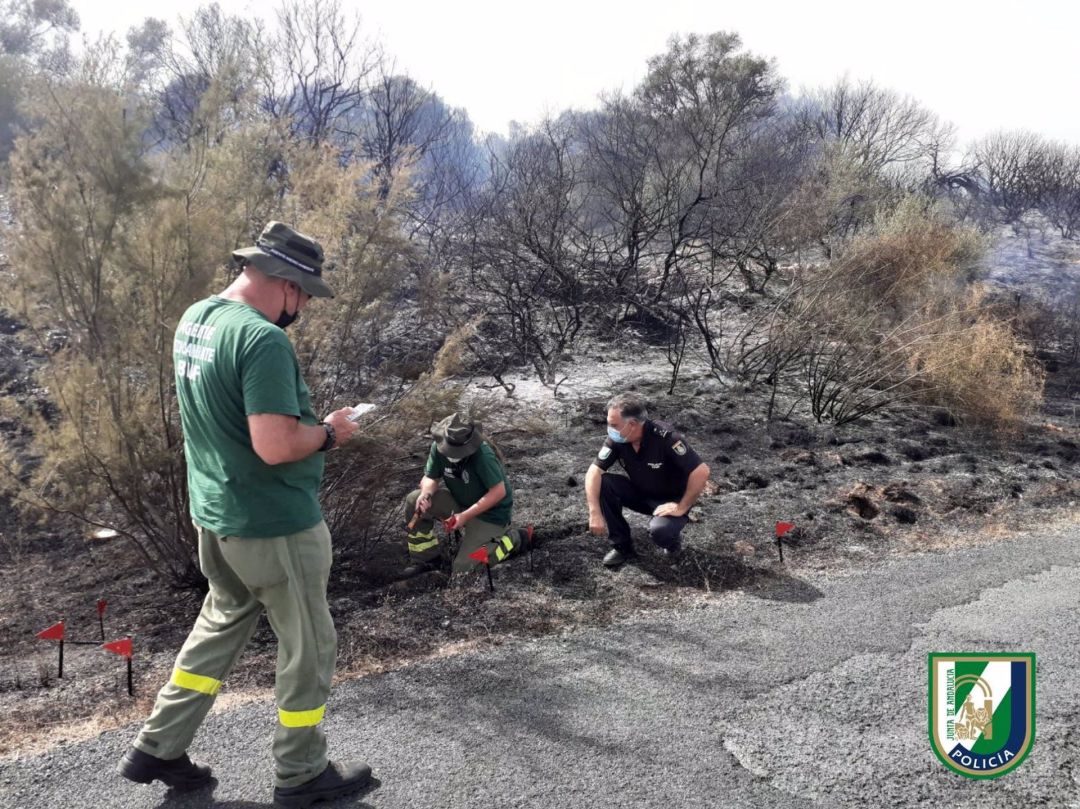 Imagen de la investigación de los incendios. Imagen de la investigación de los incendios.