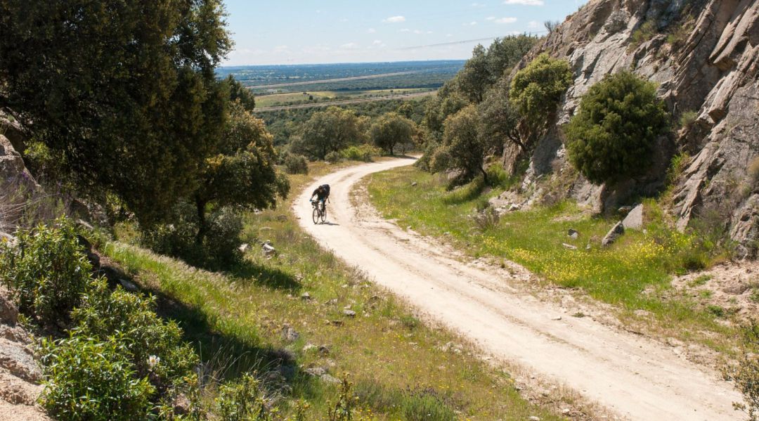 Colmenar Viejo licita la estabilización del firme de diez caminos rurales del municipio
Colmenar Viejo licita la estabilización del firme de diez caminos rurales del municipio