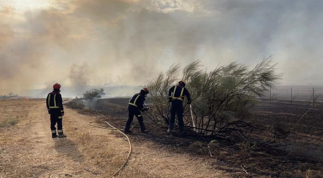 Bomberos luchan contra las llamas en el incendio de Batres Bomberos luchan contra las llamas en el incendio de Batres