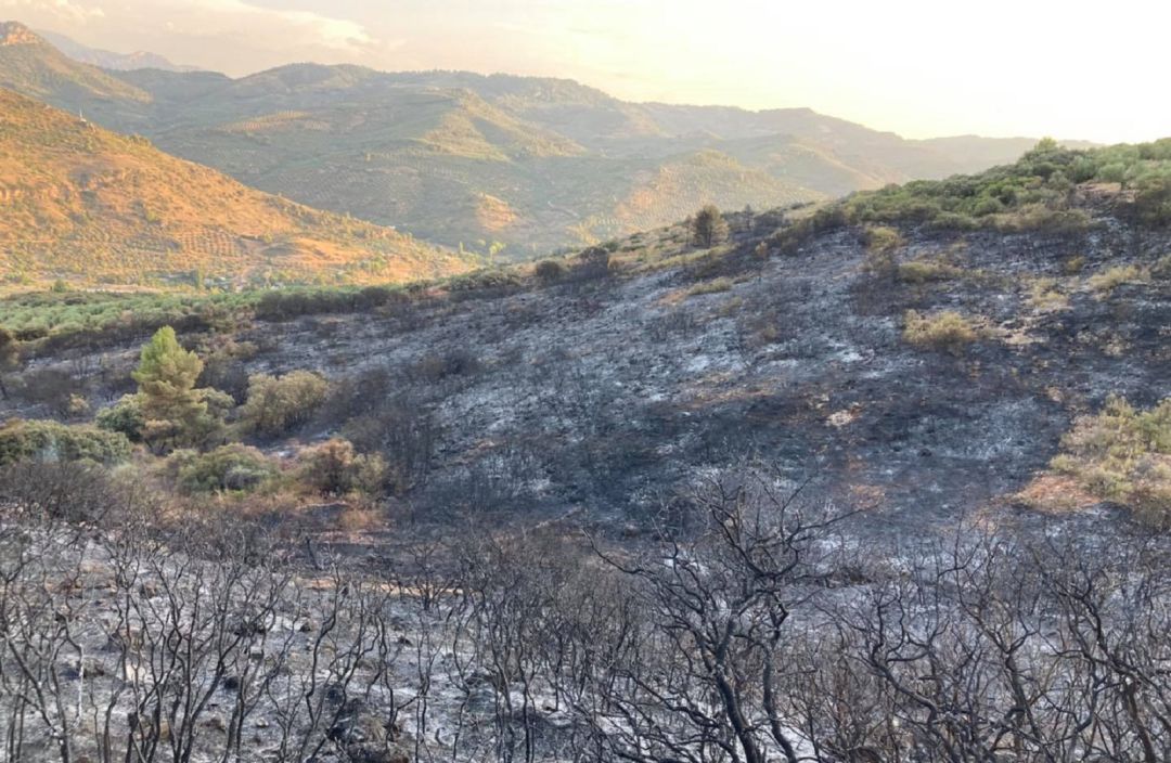 Así ha quedado la zona dañada por el fuego en el incendio forestal ocurrido en la Sierra de Cazorla, Segura y las Villas Así ha quedado la zona dañada por el fuego en el incendio forestal ocurrido en la Sierra de Cazorla, Segura y las Villas