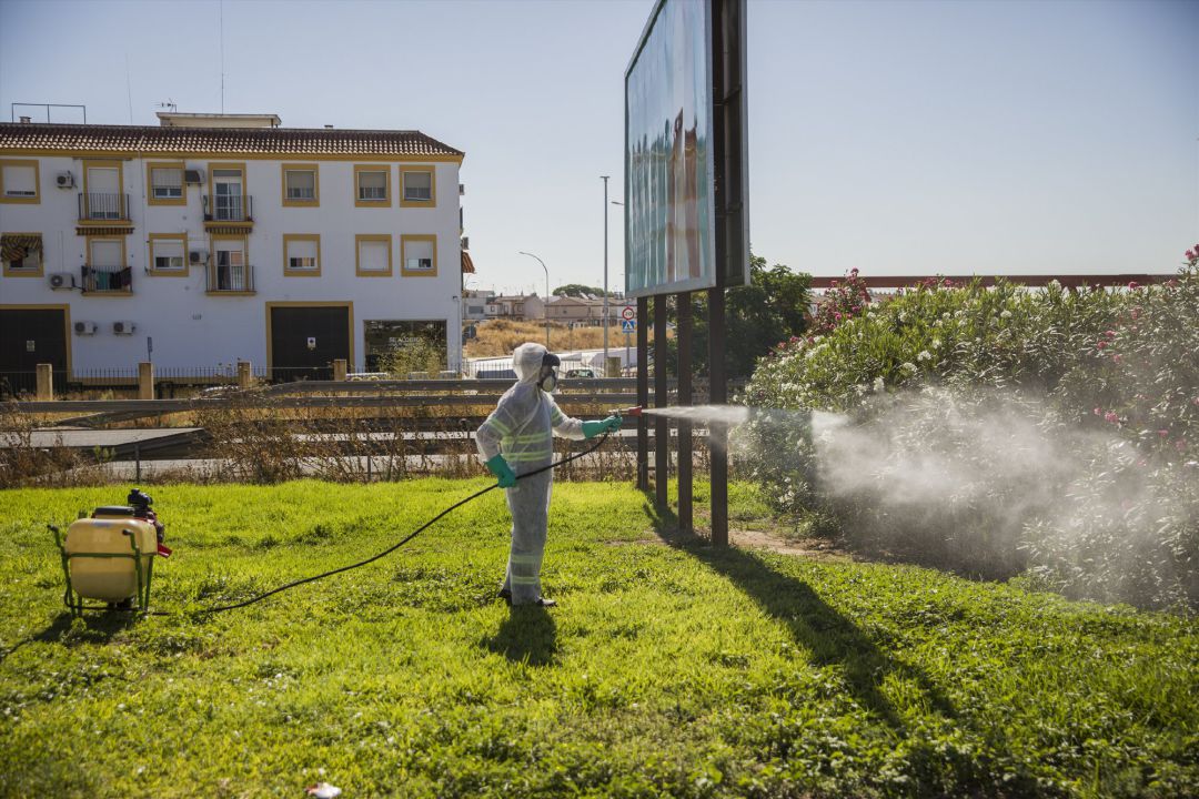 Archivo - Un trabajador durante las labores de fumigación contra los mosquitos causantes del virus del Nilo en Coria del Río Archivo - Un trabajador durante las labores de fumigación contra los mosquitos causantes del virus del Nilo en Coria del Río