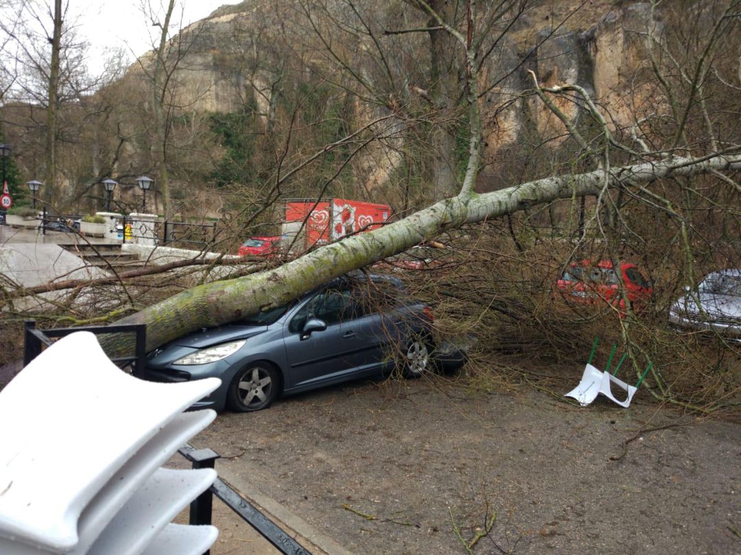 Árbol caído encima de un coche durante una tormenta en el Recreo Peral de Cuenca Árbol caído encima de un coche durante una tormenta en el Recreo Peral de Cuenca