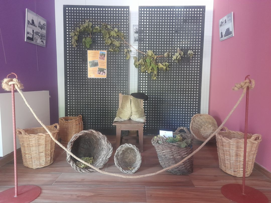 Algunas de las piezas de cestería que componen la exposición abierta en Rueda Algunas de las piezas de cestería que componen la exposición abierta en Rueda