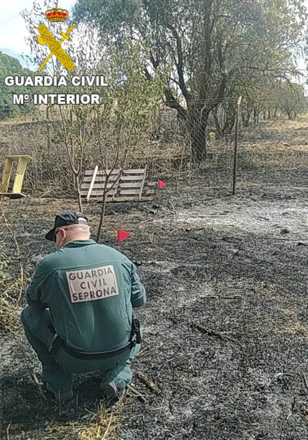 Guardia Civil inspeccionando un incendio forestal Guardia Civil inspeccionando un incendio forestal
