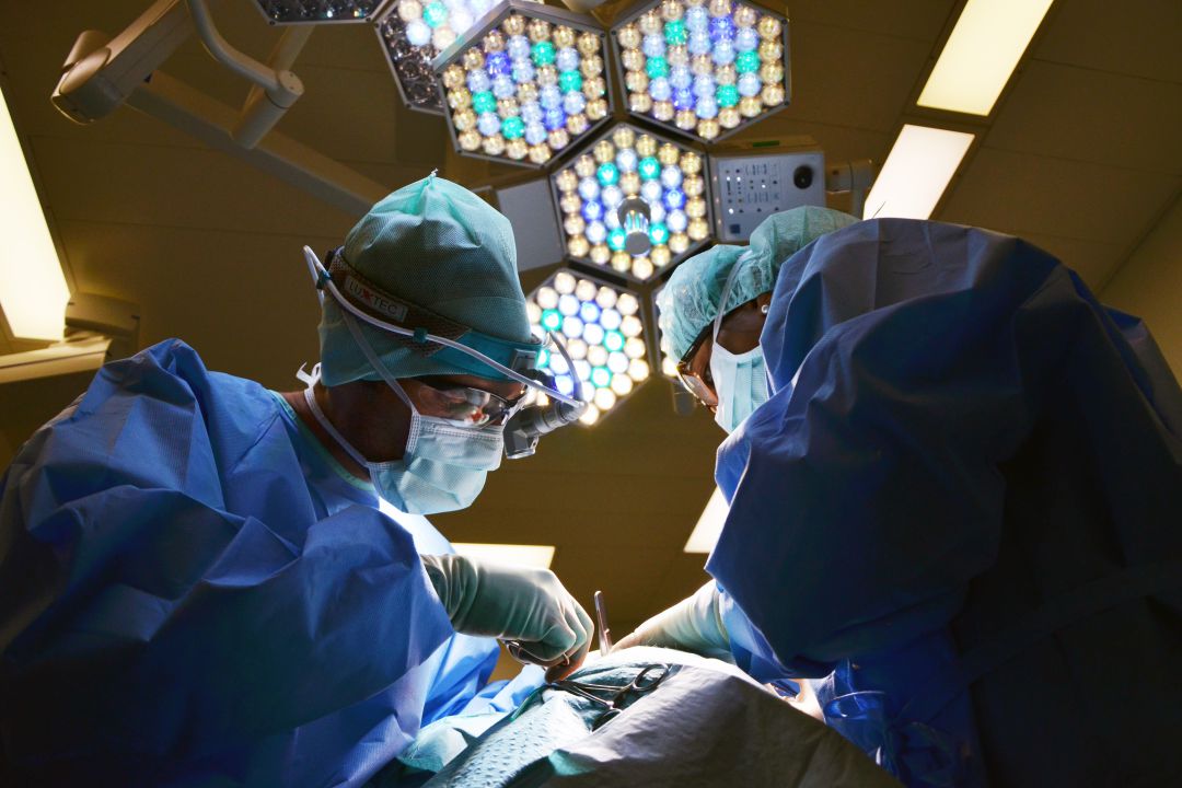 En la intervención, participó un equipo multidisciplinar formado por profesionales de cirugía torácica, cirugía cardíaca pediátrica, anestesiología, el equipo de la UCI pediátrica que posibilitó el apoyo con oxigenación extracorpórea al quirófano, enfermería de anestesiología, coordinadora de enfermería de trasplante, enfermería perfusionista, enfermería quirúrgica, auxiliares y celadoras y celadores. En la intervención, participó un equipo multidisciplinar formado por profesionales de cirugía torácica, cirugía cardíaca pediátrica, anestesiología, el equipo de la UCI pediátrica que posibilitó el apoyo con oxigenación extracorpórea al quirófano, enfermería de anestesiología, coordinadora de enfermería de trasplante, enfermería perfusionista, enfermería quirúrgica, auxiliares y celadoras y celadores.
