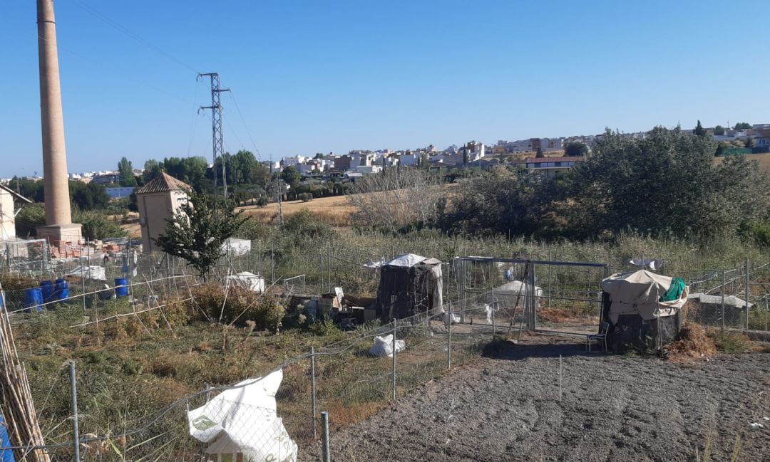 Los huertos urbanos de Torredonjimeno serán una oportunidad ideal para 11 personas que podrán acceder a ellos y mejorar su calidad de vida Los huertos urbanos de Torredonjimeno serán una oportunidad ideal para 11 personas que podrán acceder a ellos y mejorar su calidad de vida