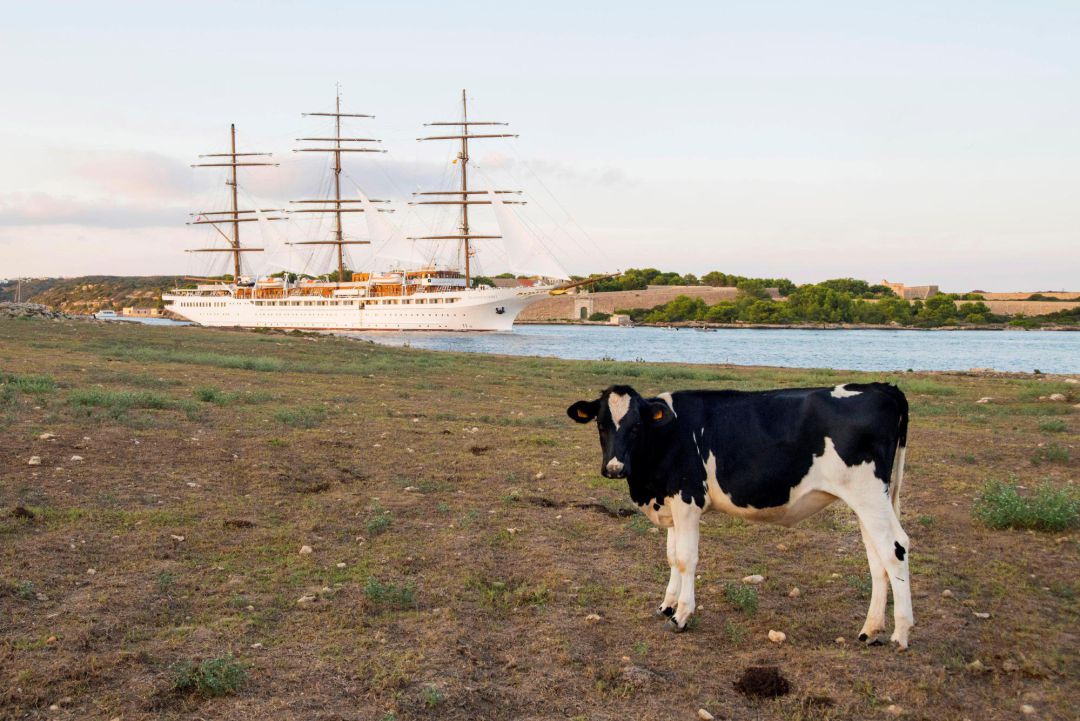 El veler de luxe va salpar de Maó fent proa cap a Eivissa. El veler de luxe va salpar de Maó fent proa cap a Eivissa.