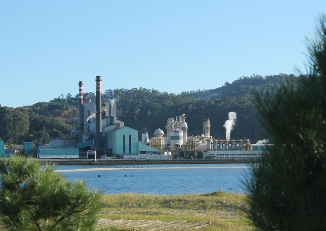 Factoría ENCE en Pontevedra Factoría ENCE en Pontevedra