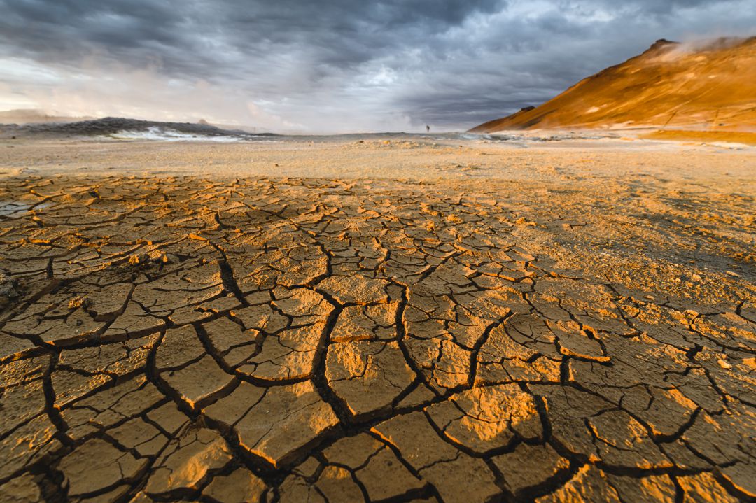 Efectos del cambio climático Efectos del cambio climático