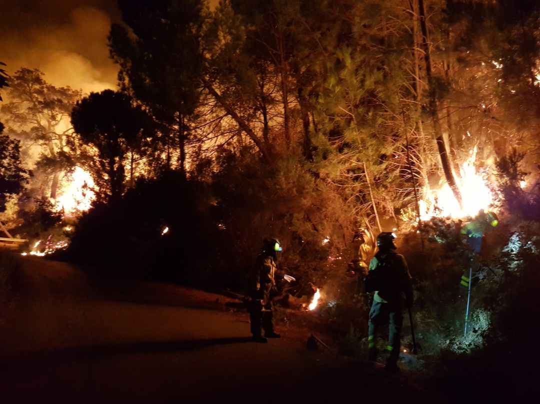Más de 40 bomberos forestales tratan de extinguir las llamas Más de 40 bomberos forestales tratan de extinguir las llamas