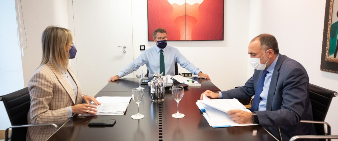 O titular do Goberno galego, Alberto Núñez Feijóo, reúnese por videoconferencia co comité clínico de expertos sanitarios O titular do Goberno galego, Alberto Núñez Feijóo, reúnese por videoconferencia co comité clínico de expertos sanitarios