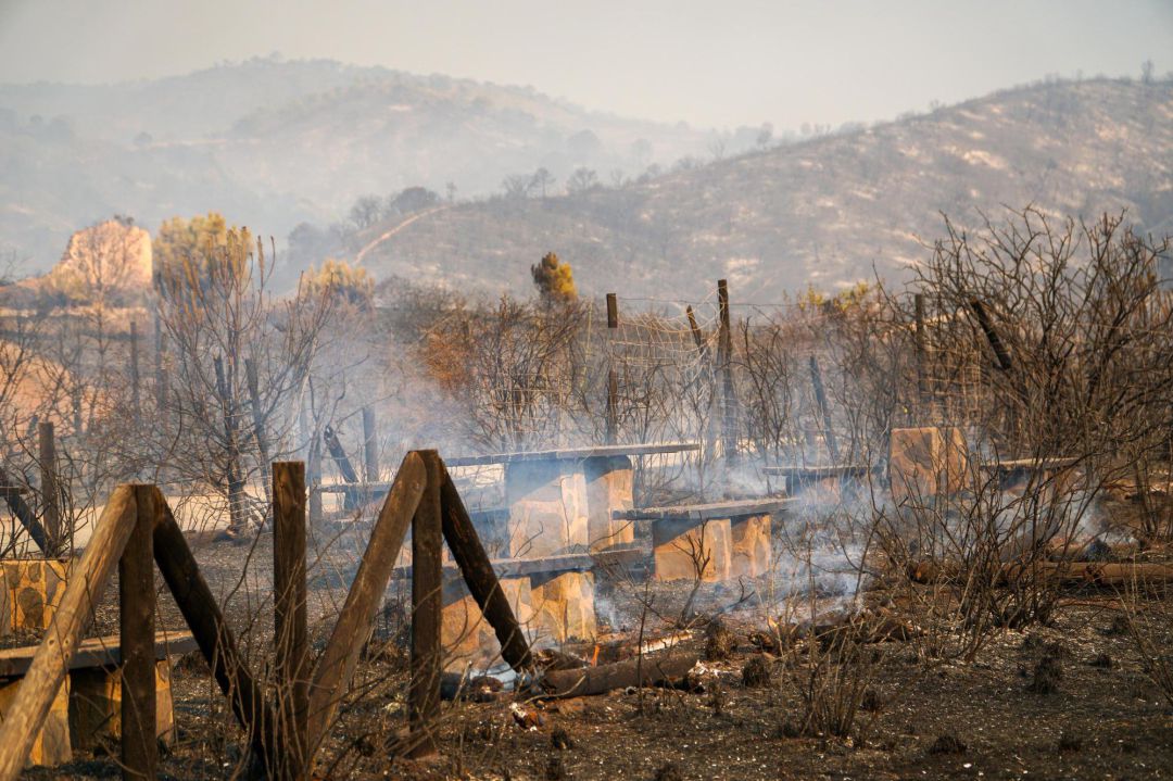 Área de recreo devastada en el término municipal de Estepona (Málaga), donde el Infoca ha desplegado medios aéreos con la luz del día para luchar contra el fuego forestal declarado en Sierra Bermeja en Jubrique (Málaga) y q Área de recreo devastada en el término municipal de Estepona (Málaga), donde el Infoca ha desplegado medios aéreos con la luz del día para luchar contra el fuego forestal declarado en Sierra Bermeja en Jubrique (Málaga) y q