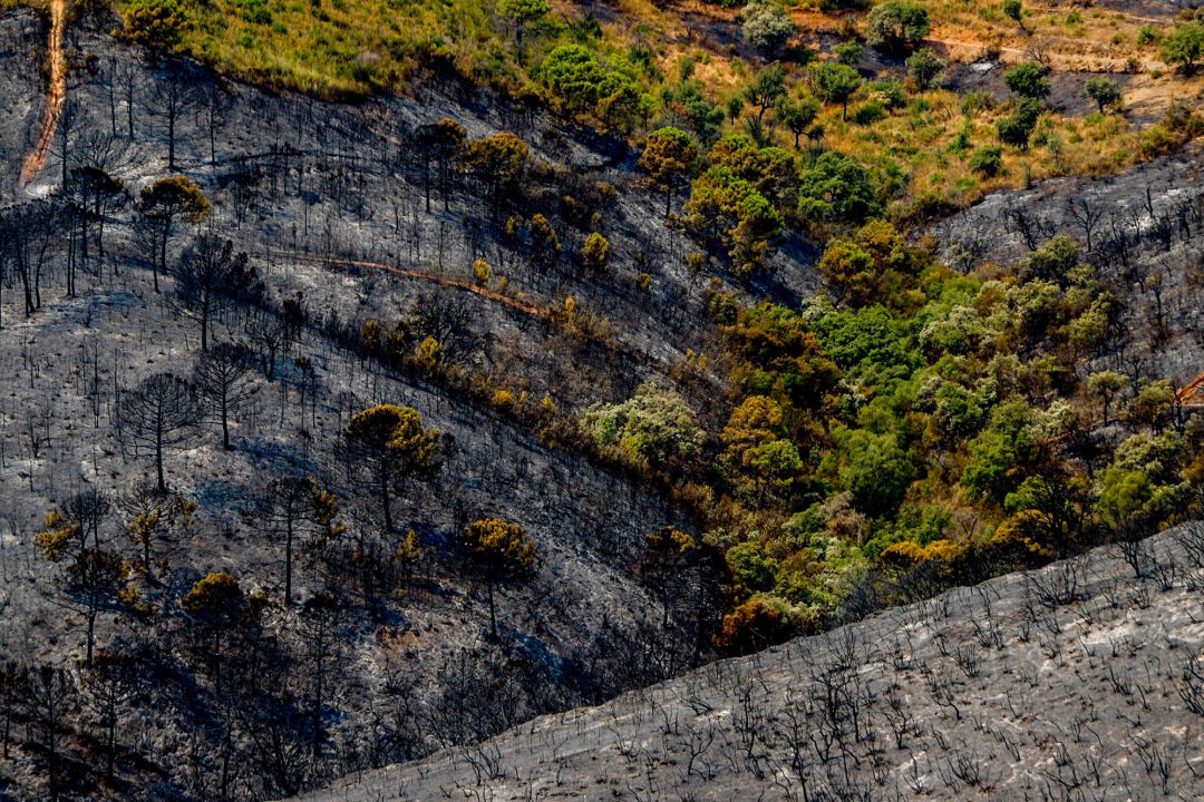 Parajes calcinados por el incendio en Sierra Bermeja Parajes calcinados por el incendio en Sierra Bermeja