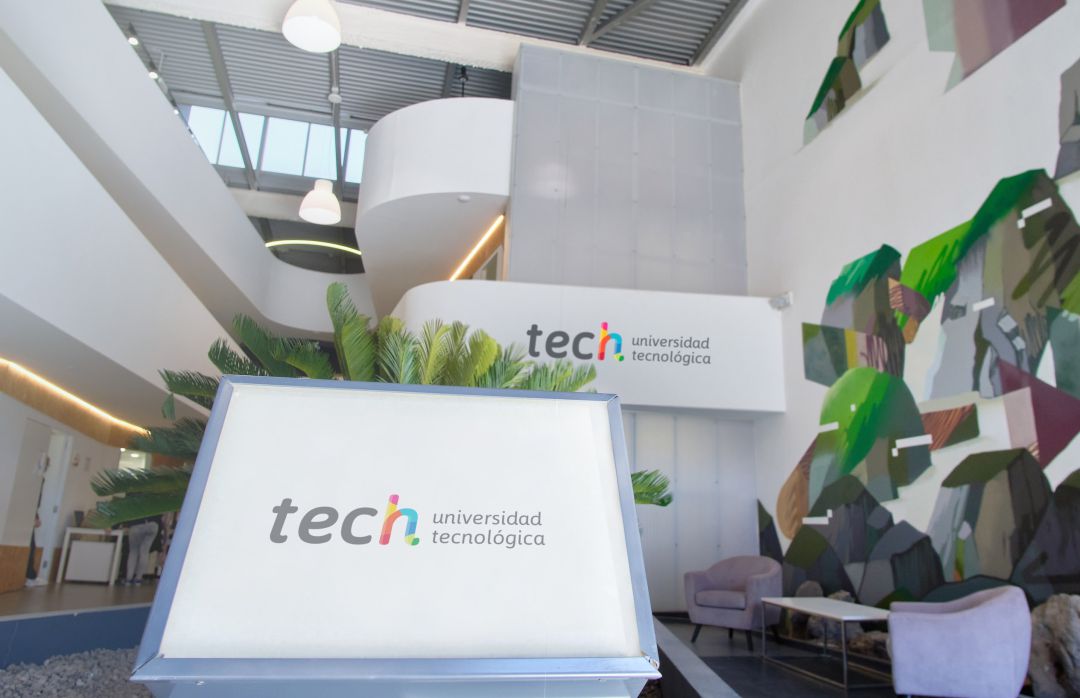 Impacto económico del grupo TECH en Canarias: 230 empleados y 18 millones de inversión Impacto económico del grupo TECH en Canarias: 230 empleados y 18 millones de inversión