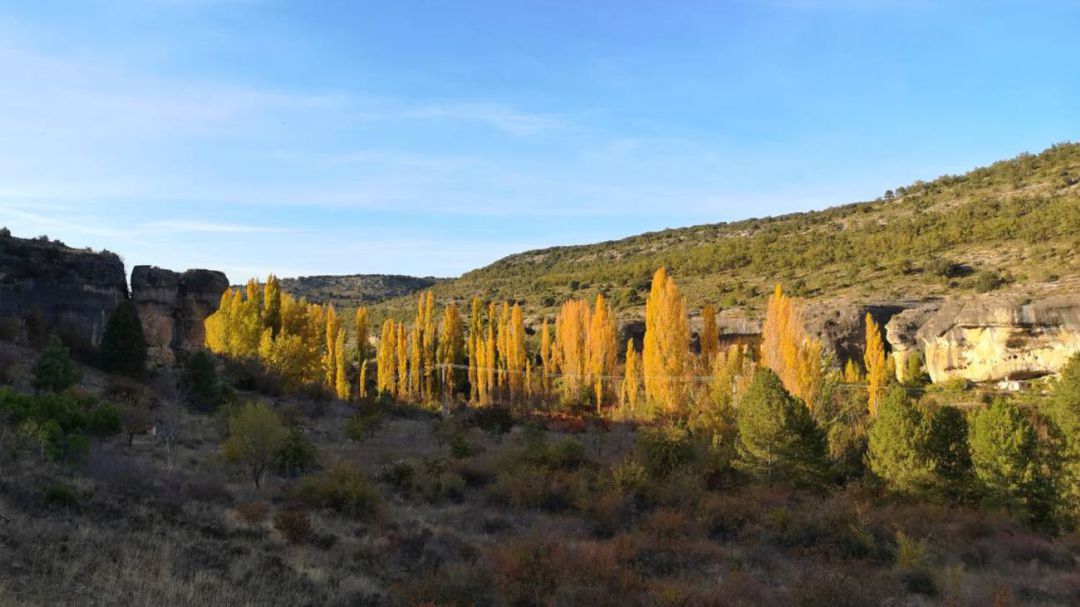 Alrededores de Palomera (Cuenca) Alrededores de Palomera (Cuenca)