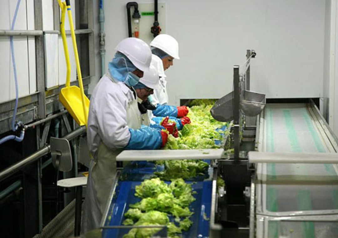 Comienzan las negociaciones previas al cierre de la planta de Iniesta Comienzan las negociaciones previas al cierre de la planta de Iniesta