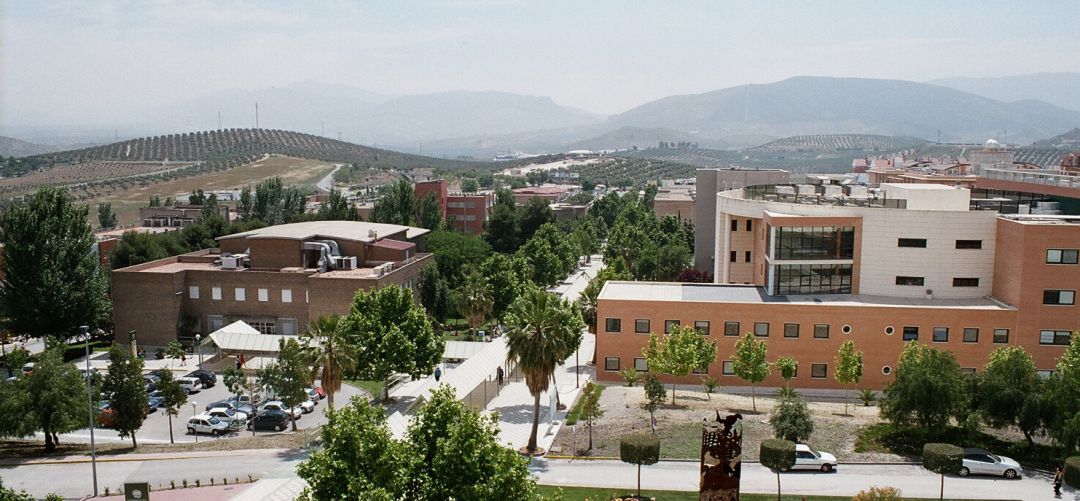 Campus de Las Lagunillas de la UJA. Campus de Las Lagunillas de la UJA.