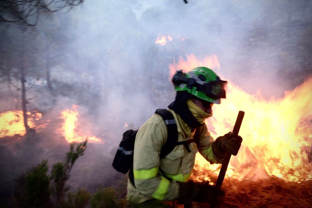 Un bombero lucha contra las llamas del incendio forestal declarado el pasado jueves 8 de septiembre en Sierra Bermeja, en la provincia de Málaga.
Un bombero lucha contra las llamas del incendio forestal declarado el pasado jueves 8 de septiembre en Sierra Bermeja, en la provincia de Málaga.