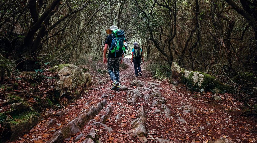 La Ruta Mendocino, el camino de Santiago desde Guadalajara hasta el norte de Madrid La Ruta Mendocino, el camino de Santiago desde Guadalajara hasta el norte de Madrid