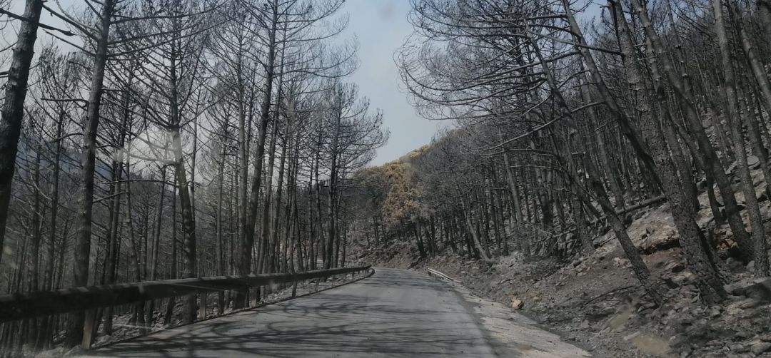 Imagen de un paraje de Sierra Bermeja Imagen de un paraje de Sierra Bermeja