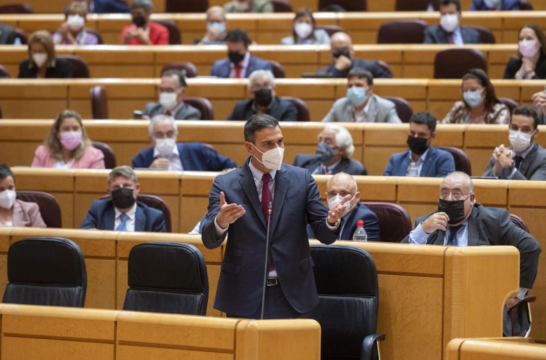 El presidente del Gobierno, Pedro Sánchez, interviene durante el primer pleno y primera sesión de control al Gobierno en el Senado tras el parón estival. El presidente del Gobierno, Pedro Sánchez, interviene durante el primer pleno y primera sesión de control al Gobierno en el Senado tras el parón estival.