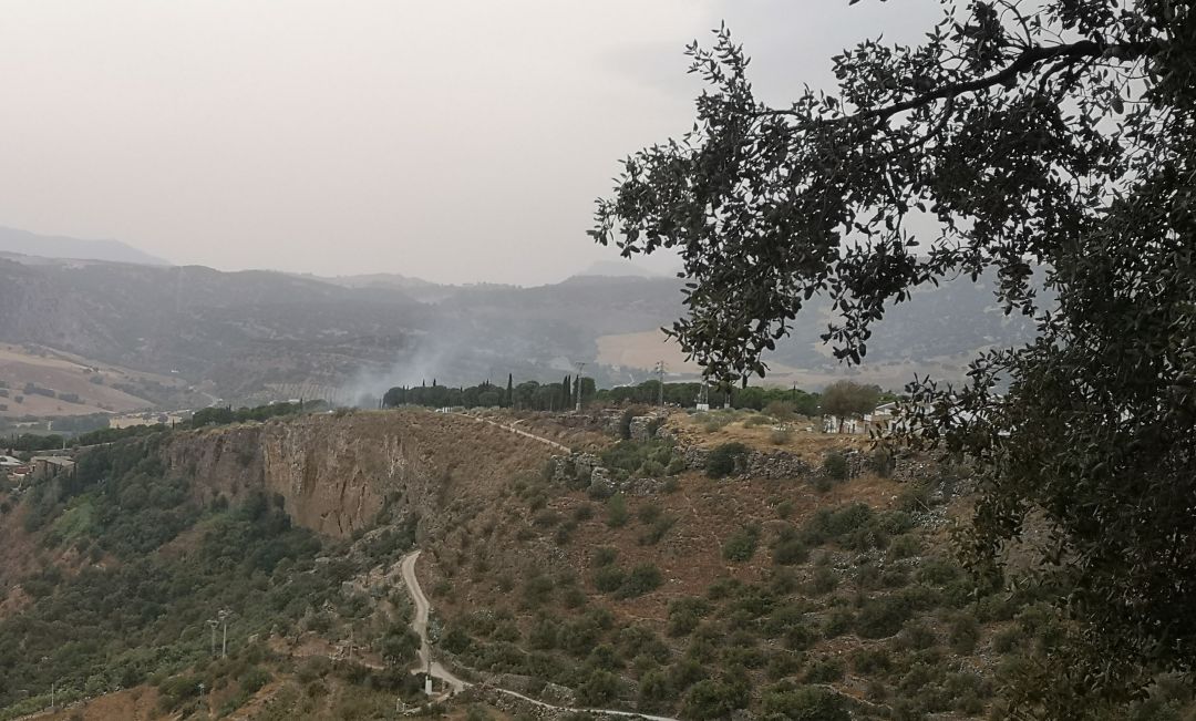 El incendio fue sofocado rápidamente por los servicios de emergencia El incendio fue sofocado rápidamente por los servicios de emergencia